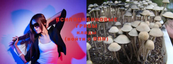 крисы Аркадак
