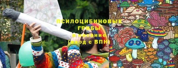 герыч Арсеньев