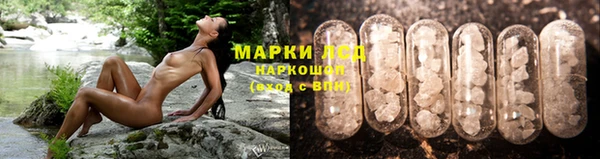 крисы Аркадак