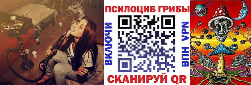 Псилоцибиновые грибы Psilocybe  Лукоянов 